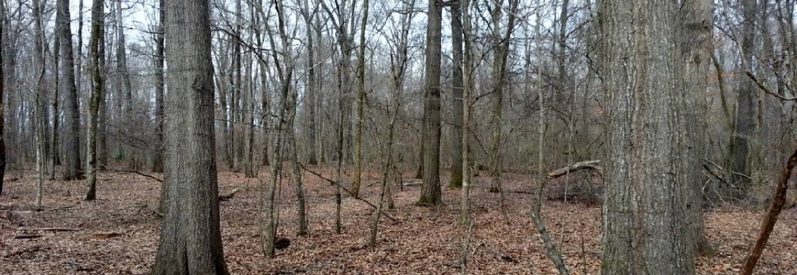 20130108_134427[1]