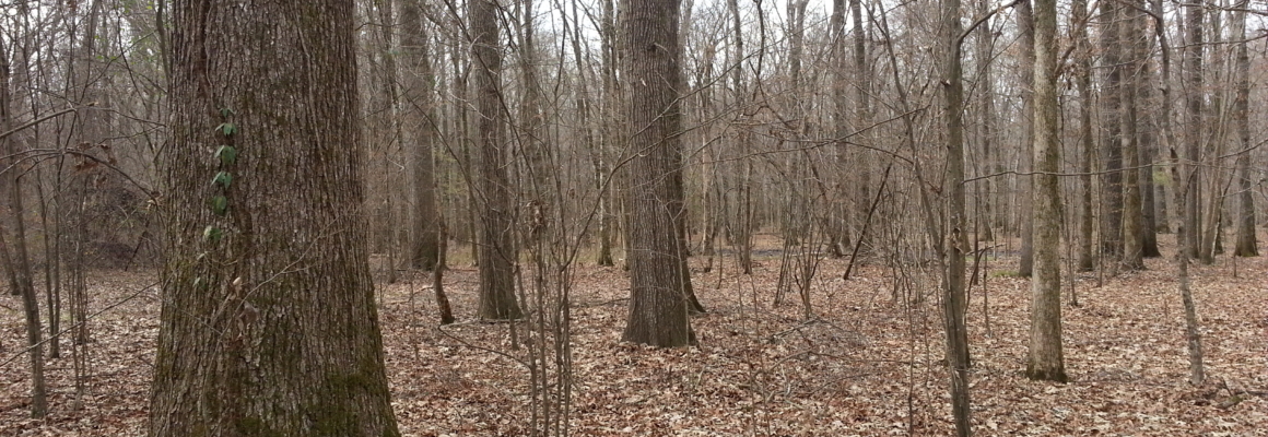 20130108_134512[1]