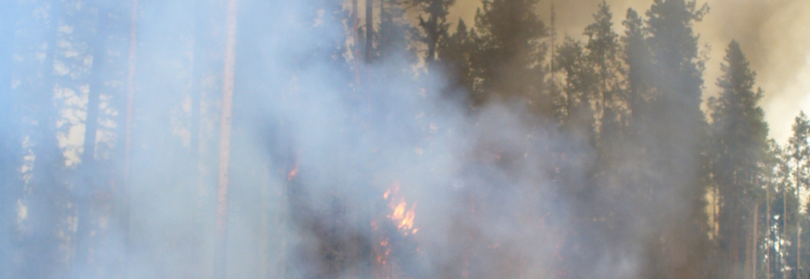 Montana_USFS_054[1]