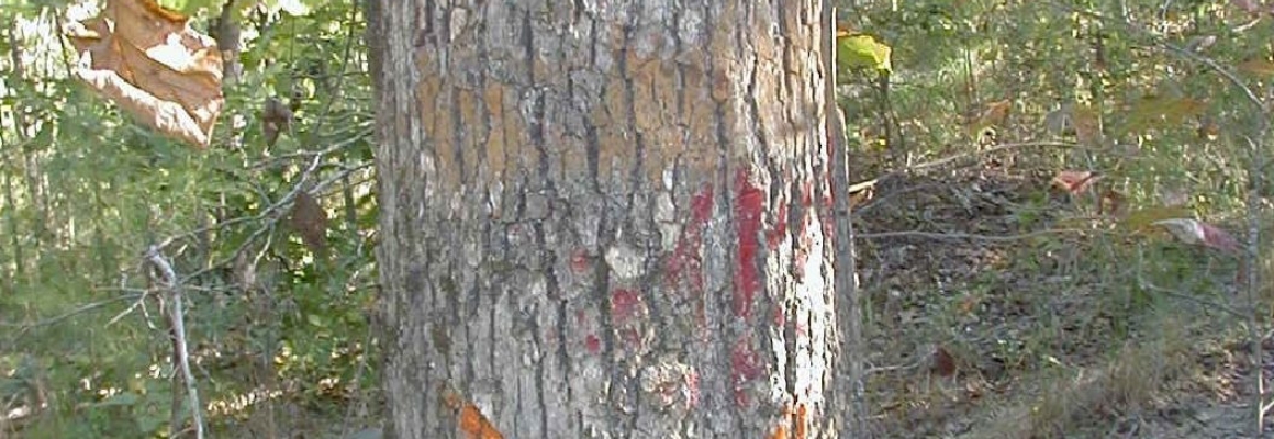 PA150006[1]